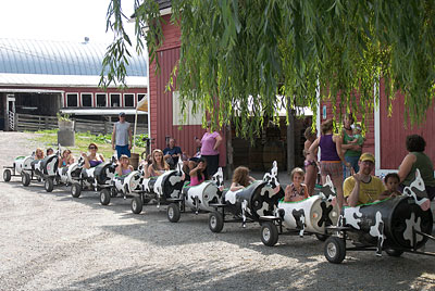Enjoy an unforgetable Birthday Party on the farm at Bob's Corn Maze and Pumpkin Farm, Snohomish, Washington.