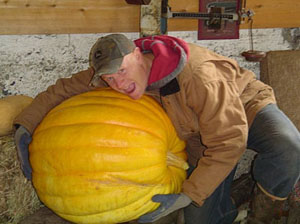 Bob loves his giant pumpkins at Bob's Corn Maze and Pumpkin Farm in Snohomish, WA.
