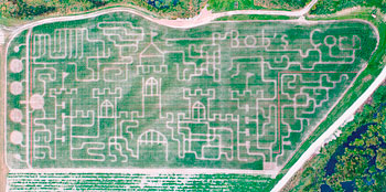 Giant corn maze at Bob's Corn, Maze & Pumpkin Patch in Snohomish, Washington, N.E. of Seattle