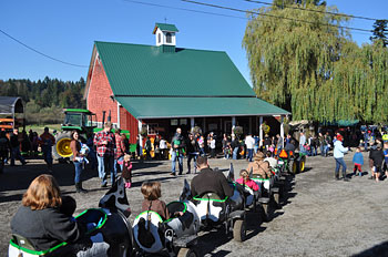 Hayrides, cow train, pony rides and more fun at the Pumpkin Patch at Bob's Corn, Maze & Pumpkin Patch in Snohomish, Washington, N.E. of Seattle