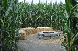 All firepits are located near the center of the corn maze at Bob's Corn Maze and Pumpkin Patch, Snohomish, WA.