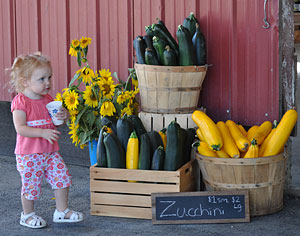 Locally grown produce, sweet corn, and pumpkins, gluten free and celiac maniac products, and more at the Country Store at Bob's Corn, Maze & Pumpkin Patch in Snohomish, Washington, N.E. of Seattle