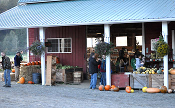 Farm fresh, locally grown produce and gluten free and celiac maniac products at The Country Store at Bob's Corn, Maze & Pumpkin Patch in Snohomish, Washington, N.E. of Seattle