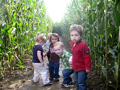Educational and fun school tours and field trips to Educational School Tours to Bob's Corn Maze and Pumpkin Patch in Snohomish, Washington, N.E. of Seattle