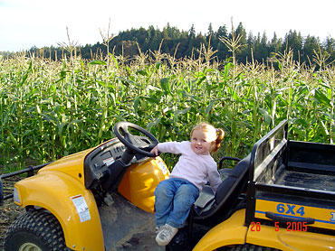 Delicious and fresh, locally grown sweet corn from Bob's Corn, Maze & Pumpkin Patch in Snohomish, Washington, N.E. of Seattle